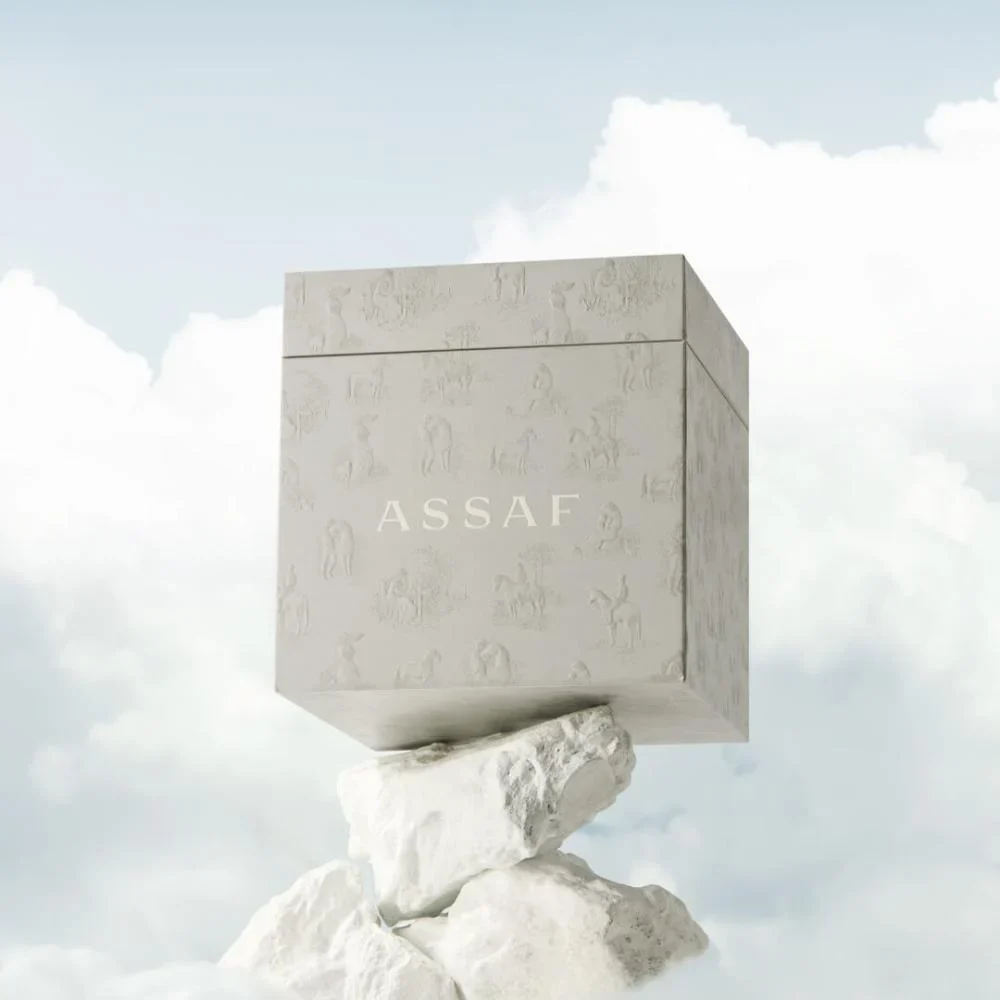 MUSK ASSAF - Image 4